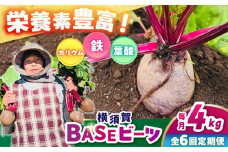 【全6回定期便】横須賀BASEビーツ 4kg（1kg×4袋）【ゆり子ファーム】 [AKCR005]
