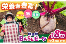 【全3回定期便】横須賀BASEビーツ 8kg（1kg×8袋）【ゆり子ファーム】 [AKCR007]