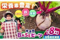 【全6回定期便】横須賀BASEビーツ 8kg（1kg×8袋）【ゆり子ファーム】 [AKCR008]