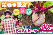 【全6回定期便】横須賀BASEビーツ 10kg（1kg×10袋）【ゆり子ファーム】 [AKCR011]
