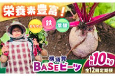 【全12回定期便】横須賀BASEビーツ 10kg（1kg×10袋）【ゆり子ファーム】 [AKCR012]