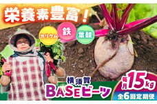 【全6回定期便】横須賀BASEビーツ 15kg（1kg×15袋）【ゆり子ファーム】 [AKCR015]