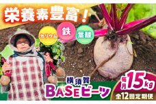【全12回定期便】横須賀BASEビーツ 15kg（1kg×15袋）【ゆり子ファーム】 [AKCR016]