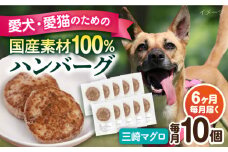 【全6回定期便】ペットフード 三崎マグロ 100%ハンバーグ 10個セット ペット 犬 猫 手作り 国産 てづくり こだわり まぐろ ドッグフード  横須賀 【ペットフードYM japan】 [AKEX004]