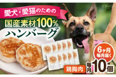 【全6回定期便】ペットフード 鶏むね 100%ハンバーグ 10個セット ペット 犬 猫 手作り 国産 てづくり こだわり ドッグフード  横須賀 【ペットフードYM japan】 [AKEX008]