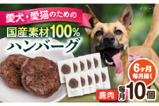 【全6回定期便】ペットフード 鹿肉 100%ハンバーグ 10個セット ペット 犬 猫 手作り 国産 てづくり こだわり ドッグフード  横須賀 【ペットフードYM japan】 [AKEX012]