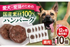 【全12回定期便】ペットフード 鹿肉 100%ハンバーグ 10個セット ペット 犬 猫 手作り 国産 てづくり こだわり ドッグフード  横須賀 【ペットフードYM japan】 [AKEX013]