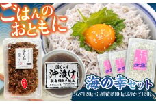 海の幸セット（沖漬け×1・ふりかけ×1・湘南しらす×3） / 海の幸 しらす 湘南 ふりかけ 沖漬け 朝ごはん ちりめん 佃煮 国産 シラス お取り寄せ 人気 冷凍 佐島 横須賀 かながわブランド 神奈川県
【平敏丸】 [AKEZ017] 10000円 1万円