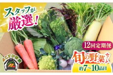 【全12回定期便】よこすか野菜セット すかなボックス 野菜 お野菜 季節野菜 やさい 詰め合わせ 詰合せ セット お楽しみ 産地直送 旬 厳選 すかなごっそ 農産物 神奈川県 横須賀市 定期 定期便【JAよこすか葉山】 [AKFO009]