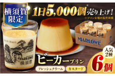 【数量限定】横須賀限定ビーカー入り北海道フレッシュクリーム（180g）×３個とカスタードプリン（180g）×３個のセット  大人気 プリン 2種 食べ比べ 専門店 昔ながらの かためプリン 濃厚 贅沢 限定販売【マーロウ】 [AKAF115]