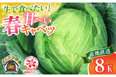 【先行予約】よこすか 春キャベツ 8玉入り キャベツ 春キャベツ きゃべつ 野菜 旬 サラダ 採れたて 新鮮 国産 こだわり すかなごっそ 神奈川県 横須賀市【JAよこすか葉山】 [AKFO005] 8000円 8千円