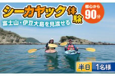 コアアウトフィッターズ 葉山・秋谷 一人乗りシーカヤック 半日体験チケット 1名様 神奈川 横須賀 葉山 三浦半島 秋谷 レジャー 体験 観光 旅行 シーカヤック カヤック マリンスポーツ 海 シーカヤックスクール【コアアウトフィッターズ】 [AKBT008]