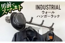 鉄・インダストリアルパイプハンガー(壁掛け型) ハンガーラック ウォールハンガーラック 壁かけ 壁掛け 無骨 スマート シンプル インテリア 【ANAテック株式会社】 [AKBD006]