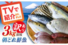 【未利用魚】漁師直送！ 朝どれ 鮮魚 おまかせ セット 3kg前後 【有限会社勘網】 [AKDX002]