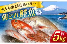 【季節限定】冬 の 朝どれ 鮮魚 おまかせ セット 約5kg【有限会社勘網】 [AKDX004]