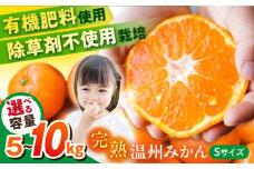 【約5kg】温州みかん Sサイズ 津久井浜みかん 蜜柑 ミカン 果物 柑橘 フルーツ 横須賀【志村農園】 [AKGH001-1]