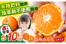 【約7㎏】温州みかん Lサイズ 津久井浜みかん 蜜柑 ミカン 果物 柑橘 フルーツ 横須賀【志村農園】 [AKGH003-2]