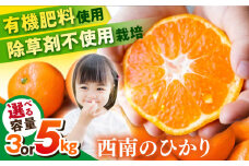 【先行予約】【約3kg】西南のひかり 蜜柑 ミカン 果物 柑橘 フルーツ 横須賀【志村農園】 [AKGH005-1]