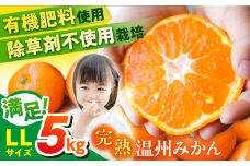 温州みかん LLサイズ 約5kg 津久井浜みかん 蜜柑 ミカン 果物 柑橘 フルーツ 横須賀【志村農園】 [AKGH004]