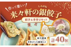 来々軒の銀（しろがね）餃子20個と手作りセット 約20個分 計40個  惣菜 おかず 中華 【横須賀商工会議所　おもてなしギフト事務局（来々軒）】ぎょうざ 餃子 ギョーザ レトルト 冷凍 ギョウザ 簡単 本格 横須賀 [AKFQ003]
