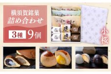横須賀銘菓詰合せ「小桜」よこすか焼き 小倉 ２個 白あん１個 栗まん２個 磯の鵜 ４個 お菓子セット お菓子 和菓子 詰め合わせ【有限会社いづみや】 [AKGK010]