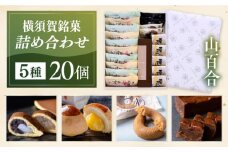 横須賀銘菓詰合せ「山百合」よこすか焼き 小倉 ５個 白あん５個 すかのわ ２個 黒まどれ ２個 栗まん５個 HAJIME（チョコ） 1本【有限会社いづみや】 [AKGK016]