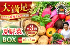 【先行予約】【全3回定期便】すずなり採れたて野菜BOX　(10～15品)　夏（5月～7月） 野菜  やさい 詰め合わせ 詰合せ 【鈴也ファーム】 [AKCE005]