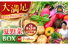【先行予約】【全3回定期便】すずなり採れたて野菜BOX　(7～10品)  夏（5月～7月） 野菜  やさい 詰め合わせ 詰合せ 【鈴也ファーム】 [AKCE007]
