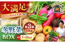 【先行予約】【全3回定期便】すずなり採れたて野菜BOX　(7～10品)  冬（12月～2月） 野菜  やさい 詰め合わせ 詰合せ 【鈴也ファーム】 [AKCE008]