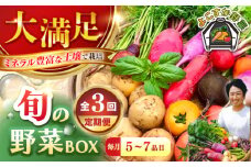 【全3回定期便】すずなり採れたて野菜BOX　(5～7品） 野菜  やさい 詰め合わせ 詰合せ 【鈴也ファーム】 [AKCE011]