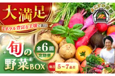 【全6回定期便】すずなり採れたて野菜BOX　(5～7品） 野菜  やさい 詰め合わせ 詰合せ 【鈴也ファーム】 [AKCE012]