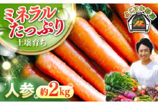 【先行予約】【数量限定】人参 セット　約2kg 野菜  やさい 【鈴也ファーム】 [AKCE013]