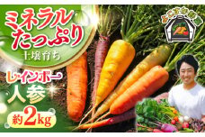 【先行予約】【数量限定】レインボー　人参セット　約2kg 野菜  やさい 【鈴也ファーム】 [AKCE014]