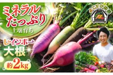 【先行予約】【数量限定】レインボー　大根　約2kg 野菜  やさい 【鈴也ファーム】 [AKCE015]