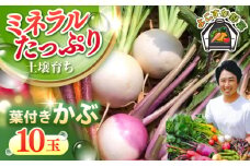 【先行予約】【数量限定】葉付き　かぶ 10玉 野菜  やさい 【鈴也ファーム】 [AKCE016]