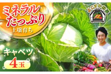 【先行予約】【数量限定】キャベツ　4玉（11月〜3月） 野菜  やさい 【鈴也ファーム】 [AKCE017]