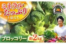 【先行予約】【数量限定】ブロッコリー　約2kg 野菜  やさい 【鈴也ファーム】 [AKCE018]