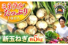 【先行予約】【数量限定】新玉ねぎ　約5kg 野菜  やさい 【鈴也ファーム】 [AKCE019]