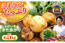 【先行予約】【数量限定】じゃがいも　きたあかり　約5kg 野菜  やさい 【鈴也ファーム】 [AKCE020]
