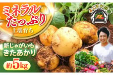【先行予約】【数量限定】新じゃが　きたあかり　約5kg 野菜  やさい 【鈴也ファーム】 [AKCE021]