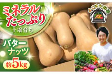 【先行予約】バターナッツ　約5kg 野菜  やさい 【鈴也ファーム】 [AKCE022]