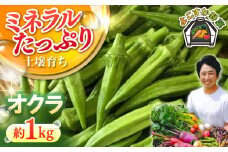 【数量限定】オクラ　約1kg 野菜  やさい 【鈴也ファーム】 [AKCE023]