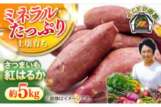 【先行予約】さつまいも 紅はるか 約5kg 野菜  やさい 【鈴也ファーム】 [AKCE025]