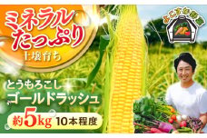 【先行予約】【数量限定】とうもろこし　ゴールドラッシュ　下処理済み　10本程度　約5kg（7月〜8月）【鈴也ファーム】 [AKCE026]