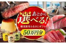【あとから選べる！】横須賀市 ふるさとギフト 50万円分 牛肉 葉山牛 プリン スイーツ 干物 マグロ 米 定期便 神奈川 横須賀 あとから 選べる あとから寄附 あとからチョイス セレクト [AKZZ009]