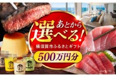 【あとから選べる！】横須賀市 ふるさとギフト 500万円分 牛肉 葉山牛 プリン スイーツ 干物 マグロ 米 定期便 神奈川 横須賀 あとから 選べる あとから寄附 あとからチョイス セレクト [AKZZ015]