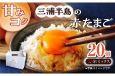 餌にこだわった三浦半島産赤たまご 20個 卵 たまご 【横須賀商工会議所　おもてなしギフト事務局（岩沢ポートリー）】 [AKET003]