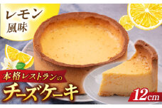 チーズケーキ 4号（12cm) 2〜3人分 ケーキ デザート スイーツ 【日本水産観光株式会社】 [AKBR007]