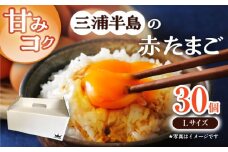 餌にこだわった三浦半島産赤たまご 30個 卵 たまご 【横須賀商工会議所　おもてなしギフト事務局（岩沢ポートリー）】 [AKET004]