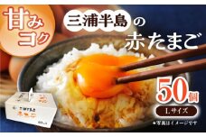 餌にこだわった三浦半島産赤たまご 50個 卵 たまご 【横須賀商工会議所　おもてなしギフト事務局（岩沢ポートリー）】 [AKET005]